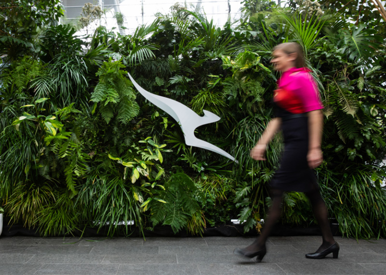 New Qantas ‘Green’ loyalty tier to reward frequent flyers for being sustainable