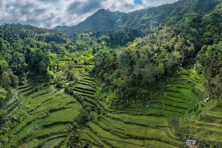 Virgin Australia launches Gold Coast-Bali flights, resumes South Pacific services